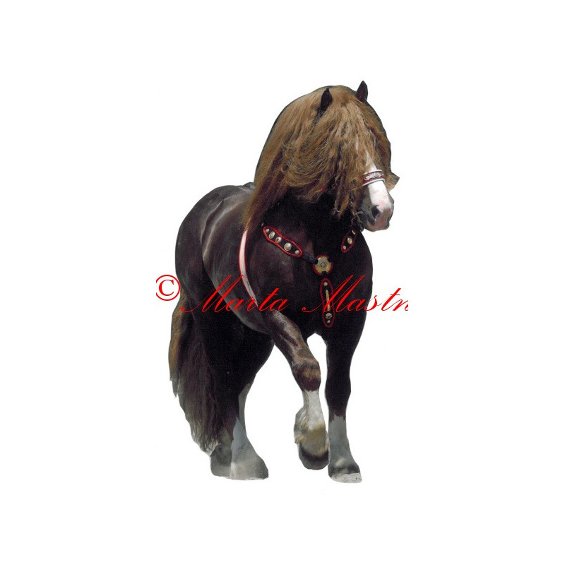 Samolepka českomoravský belgik Agar