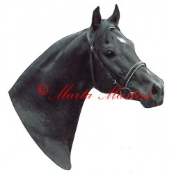 Samolepka shagya arab Galán, kůň, koně