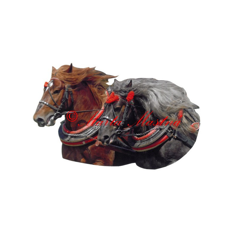 Samolepka chladnokrevníci