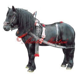 Samolepka českomoravský belgik Borax