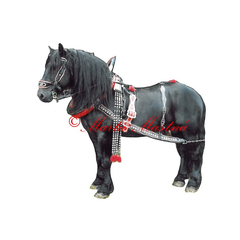 Samolepka českomoravský belgik Borax