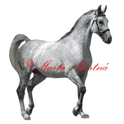 Samolepka shagya arab