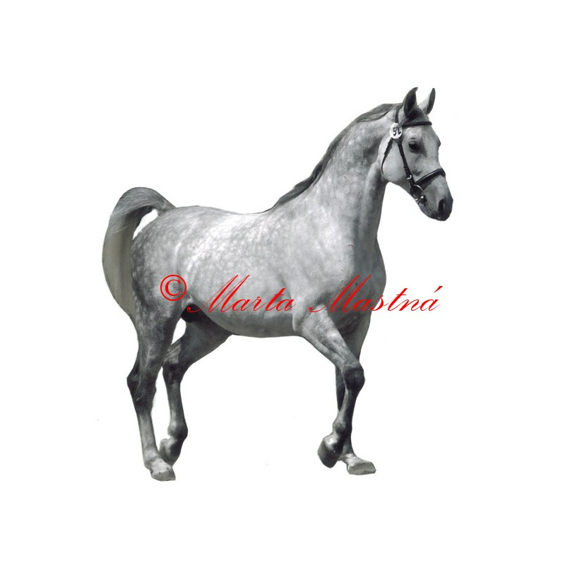 Samolepka shagya arab