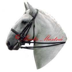 Samolepka kladrubský kůň