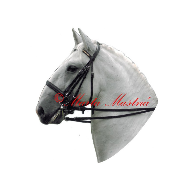 Samolepka kladrubský kůň