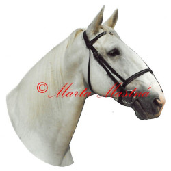 Samolepka kladrubský kůň