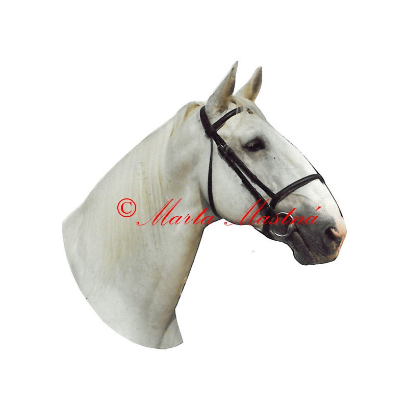 Samolepka kladrubský kůň