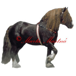 Samolepka českomoravský belgik Agar