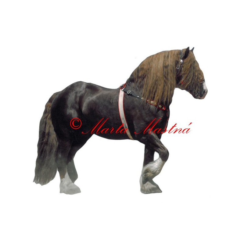 Samolepka českomoravský belgik Agar