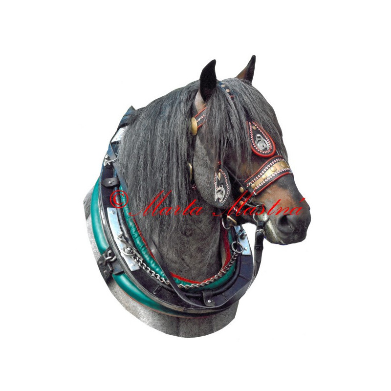 Samolepka slezský norik