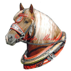 Samolepka chladnokrevník Aron