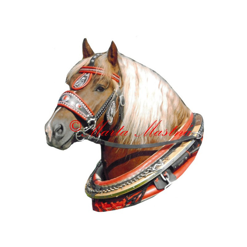 Samolepka chladnokrevník Aron