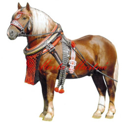 Samolepka chladnokrevník Aron