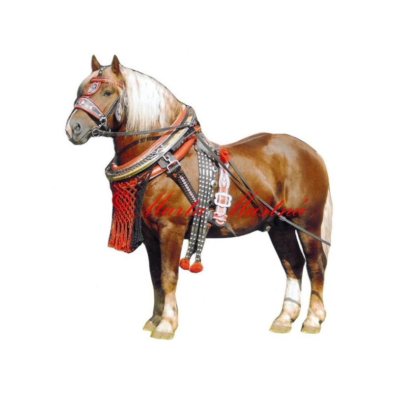 Samolepka chladnokrevník Aron