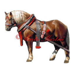 Samolepka chladnokrevník Aron