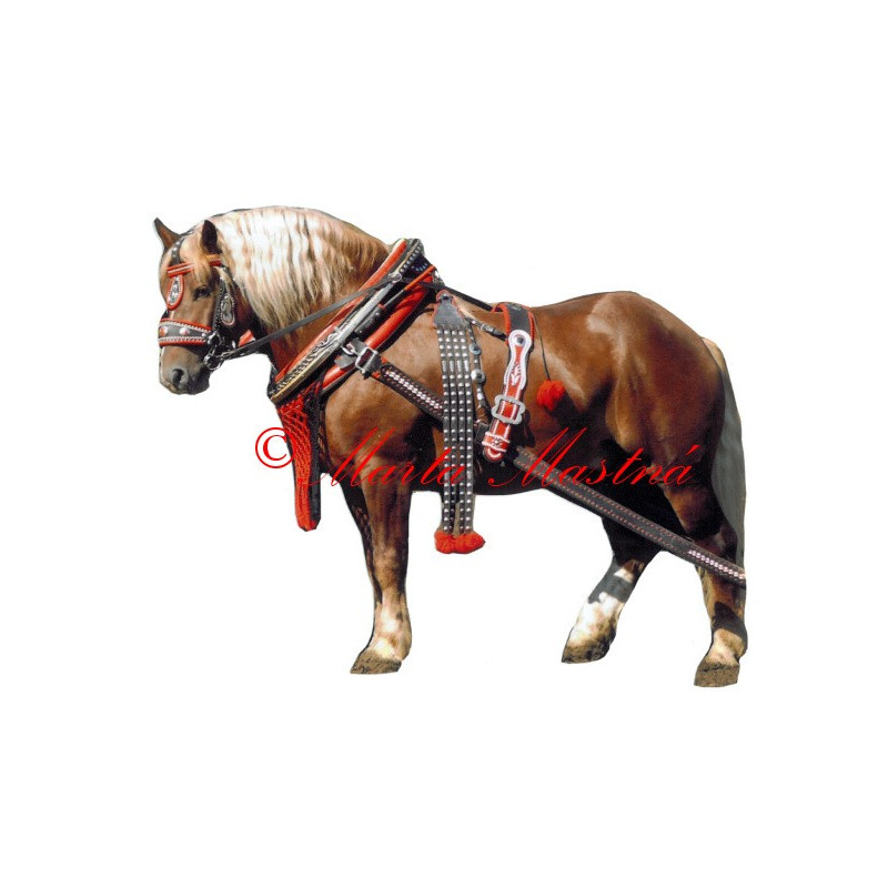 Samolepka chladnokrevník Aron