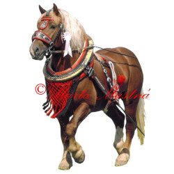 Samolepka chladnokrevník Aron