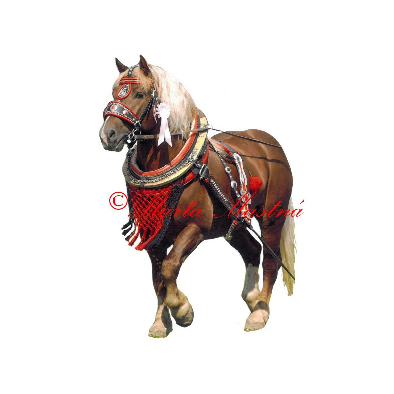 Samolepka chladnokrevník Aron