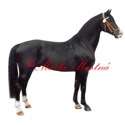 Samolepka teplokrevník Lopez