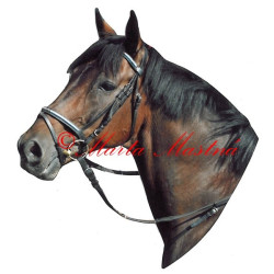 Samolepka teplokrevník