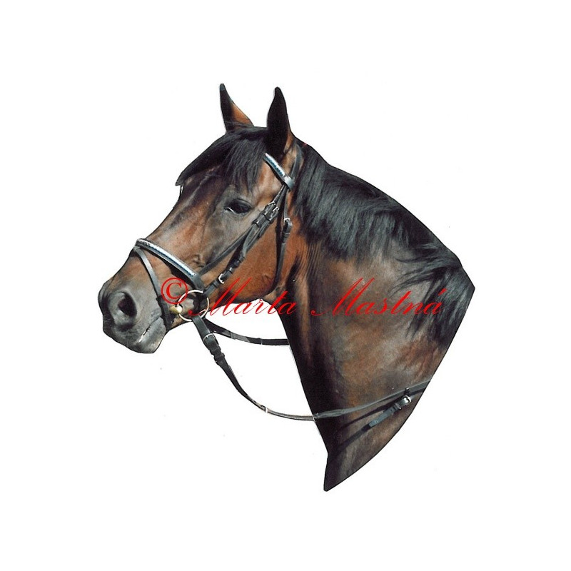 Samolepka teplokrevník