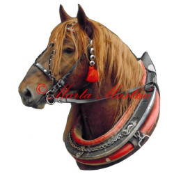 Samolepka chladnokrevník