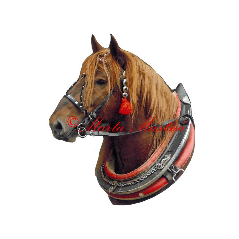 Samolepka chladnokrevník