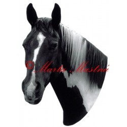 Samolepka paint horse, western, kůň, koně - archiv