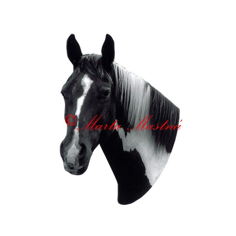Samolepka paint horse