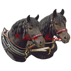 Samolepka chladnokrevníci