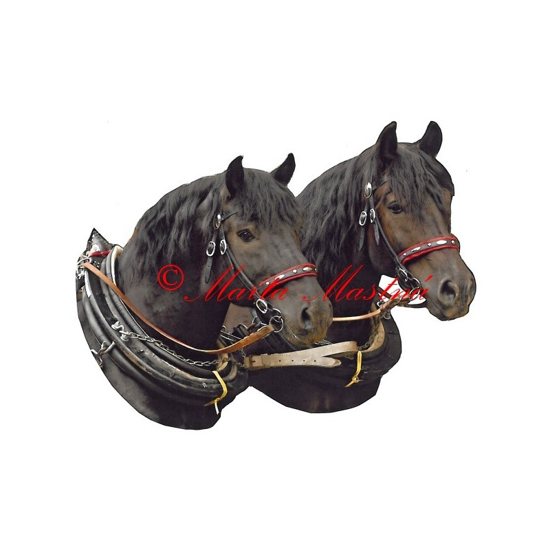 Samolepka chladnokrevníci