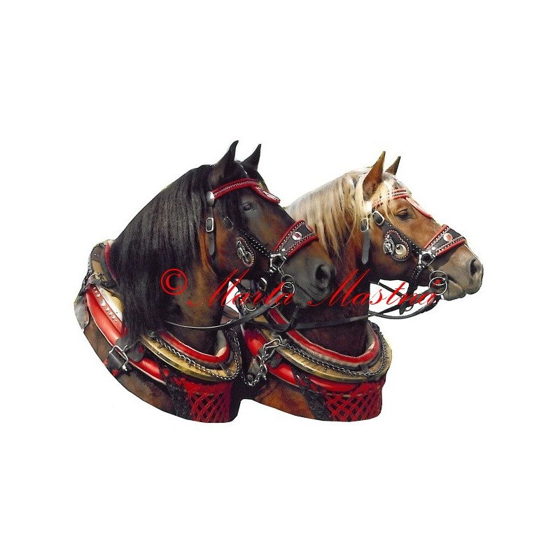 Samolepka chladnokrevníci