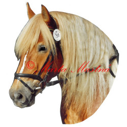 Samolepka chladnokrevná klisna Betty