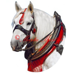 Samolepka chladnokrevník percheron