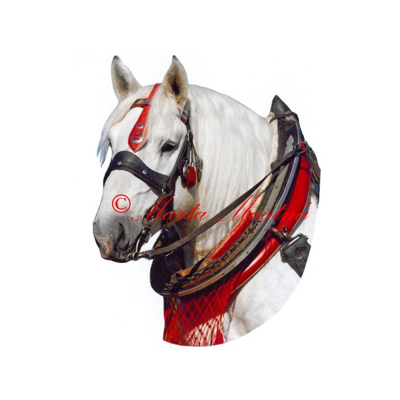 Samolepka chladnokrevník percheron